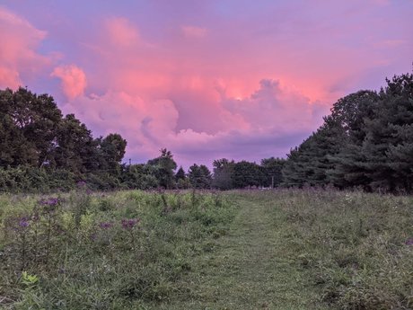 Domme Philippi model art archive