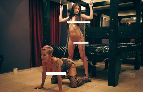 upperfloor pornstar nude picture