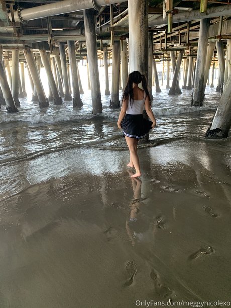 Megan Nicole model pornographic picture