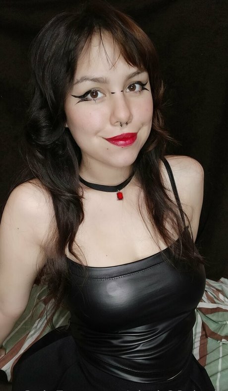 alrak66elocin best model archive