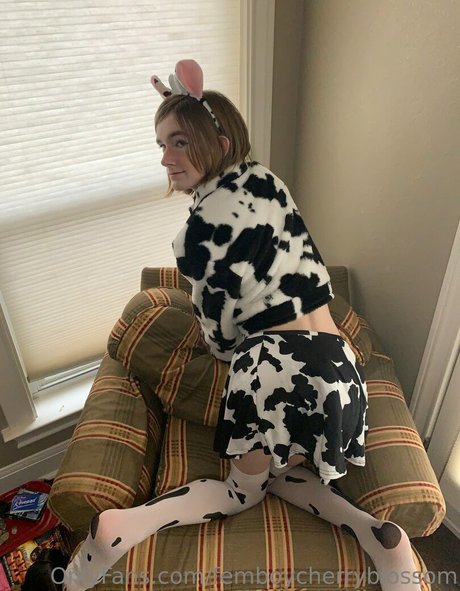 femboycherryblossom erotic model pics