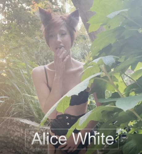 aliceoncamfree exclusive star picture