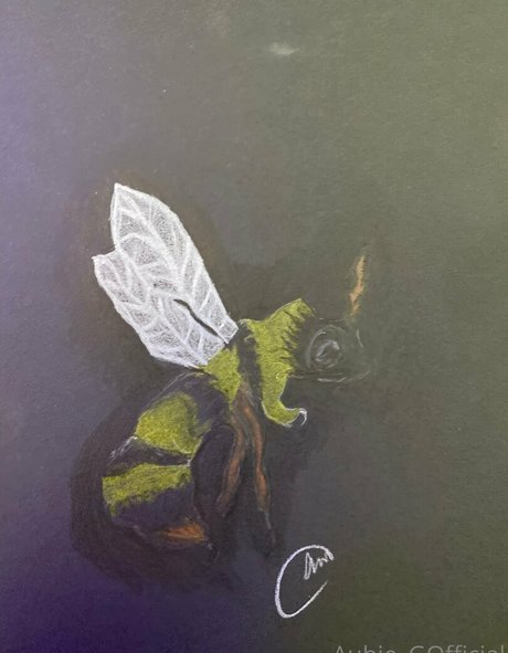 aubiegfree perfect star photos