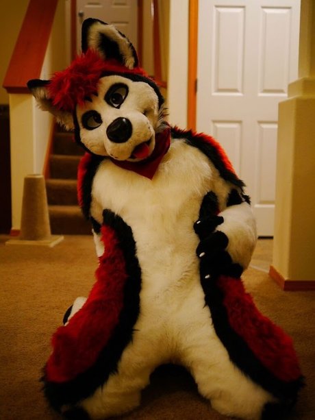 Cenny After Bark_ pornstar xxx galleries