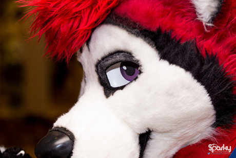 Cenny After Bark_ pornstar exclusive archive