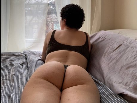 Italian Rose beautiful star galleries