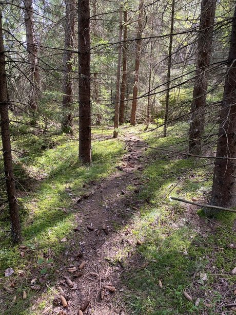 MaryKay art star images