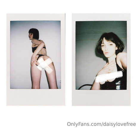 daisylovefree adult actress archive