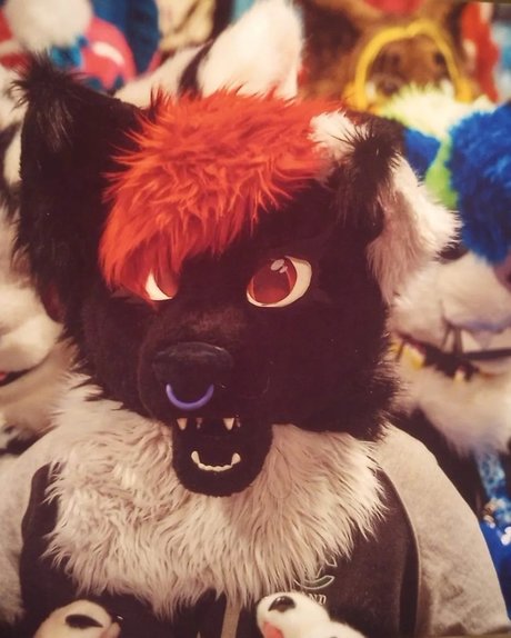 Kota best model image