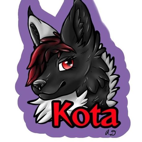 Kota model photos