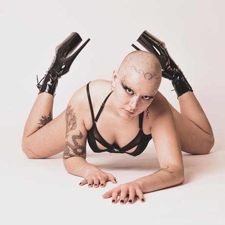 Mx Violet model gallery