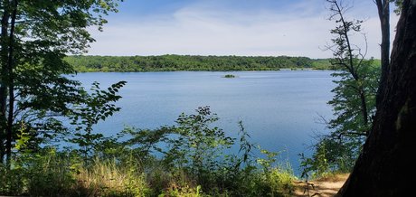 Michael B star top pictures