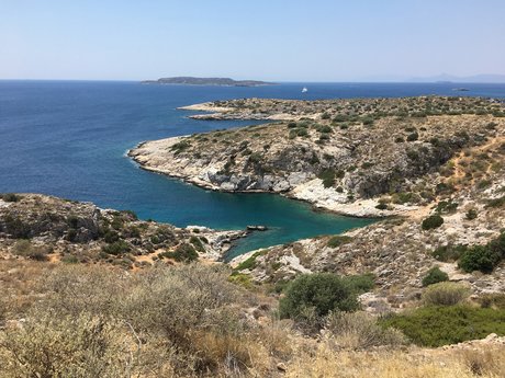 Neptune704 star high quality pic