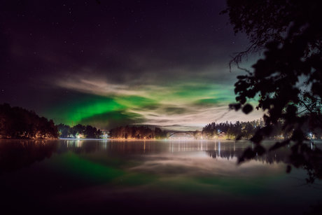 Neonerotic sex pornstar img