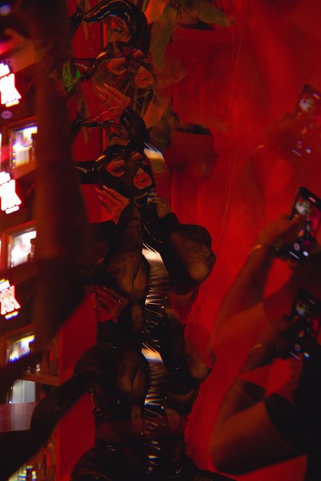 Dany Torres nude thumbnail