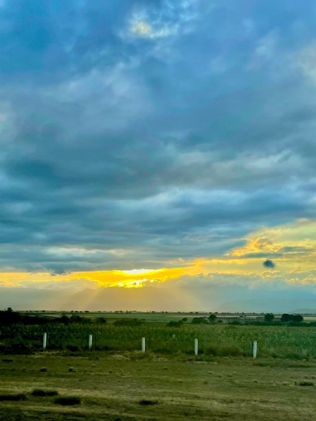 bunny costume onlyfans xxx pic