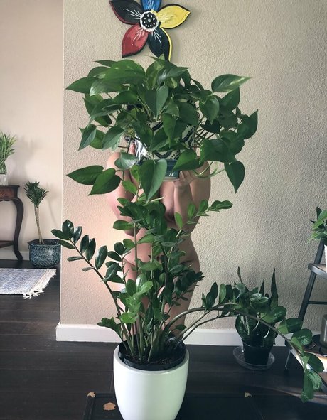 cum in ass onlyfans best img