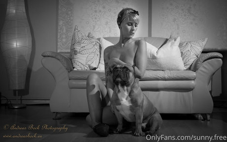 famez de hd model archive