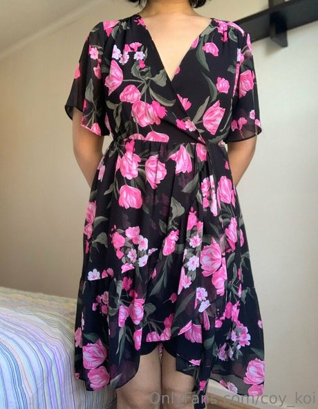 coy koi free star img