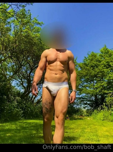 bob shaft sex star photo