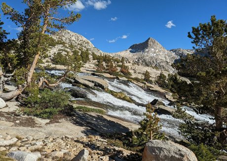 hungskater nude pornstar img