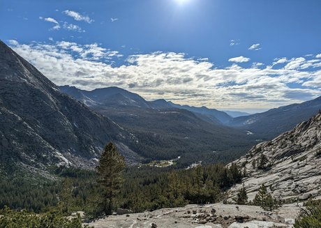 hungskater perfect star pic