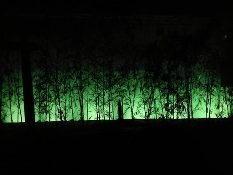 Asian dork adult actress pic