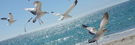 tied onlyfans hot sex picture