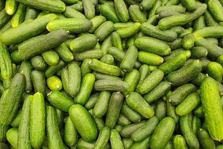 OnlyPickles art pornstar photos
