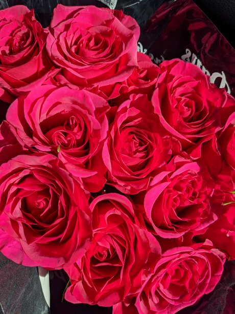 armpit licking onlyfans free sex pic