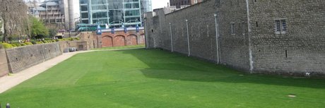 Patrick Duru star porn images