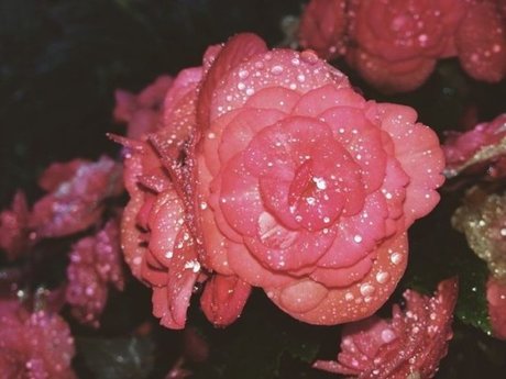 bush onlyfans sex galleries