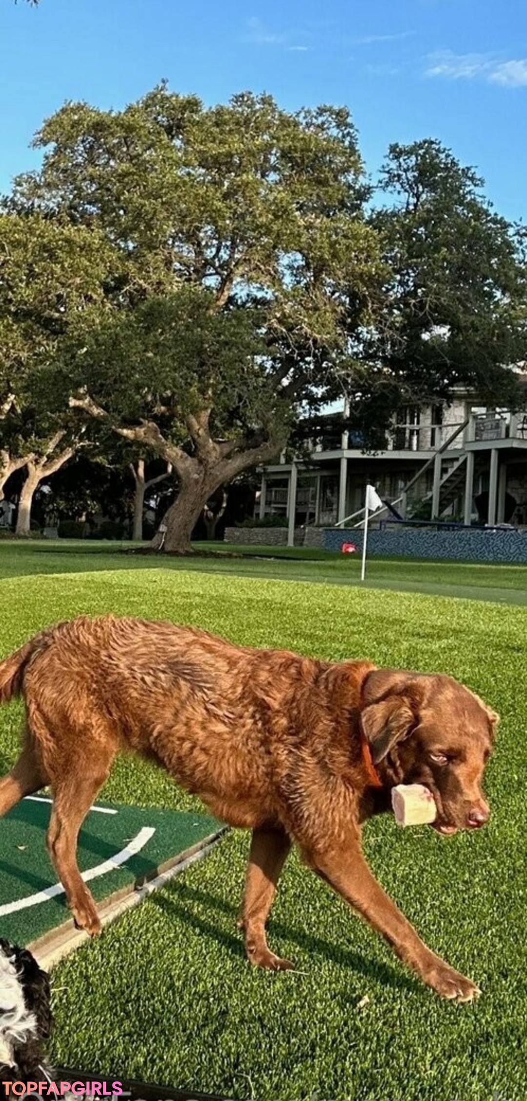 mary a b sexy pornstar pic