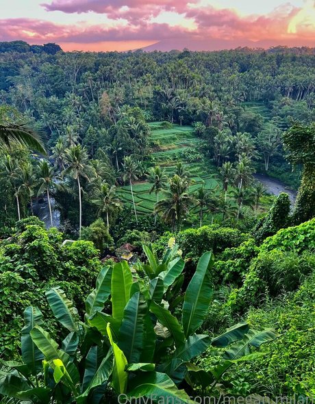 squirting orgasm onlyfans art porn archive