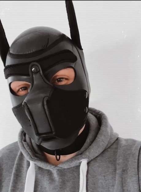 Puppy Milo erotic star gallery
