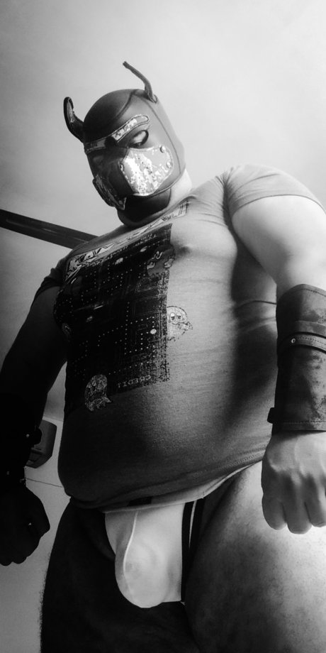 Duelcub model high quality picture