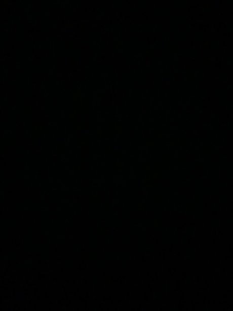 ebony thick onlyfans hot porn archive