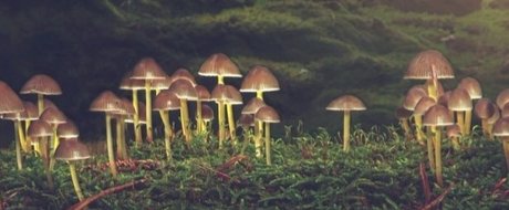 pregnant princess onlyfans sexy nudes images