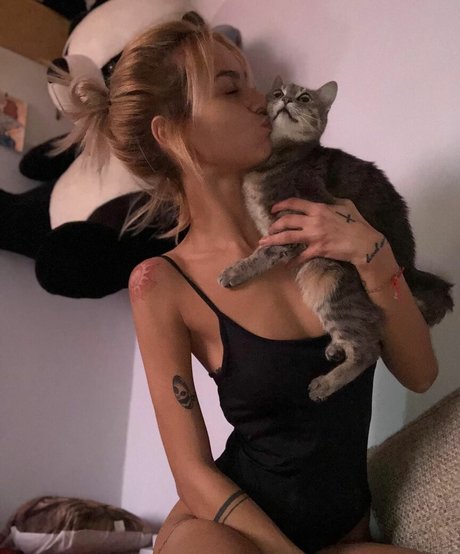 axalrnaed perfect pornstar galleries