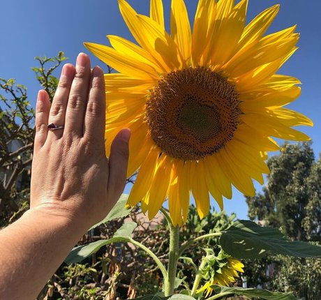 chubbychunky pornstar art pics