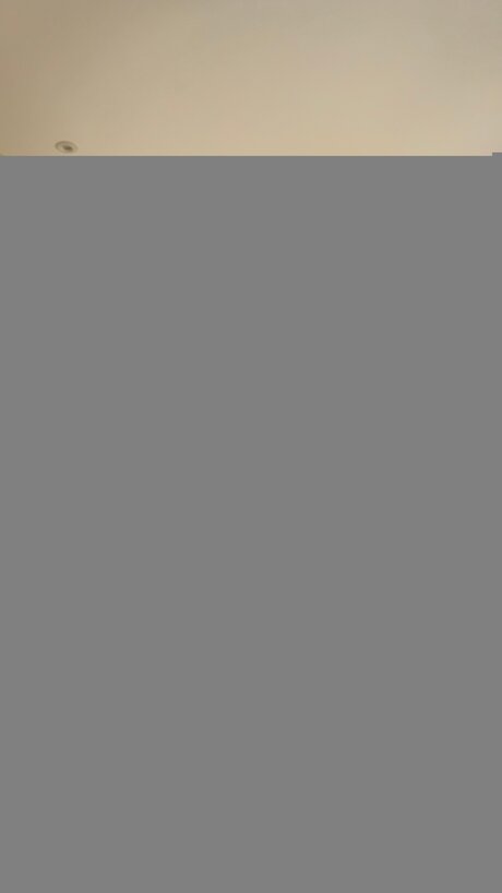 Zaah Wayne_ pornstar free photo