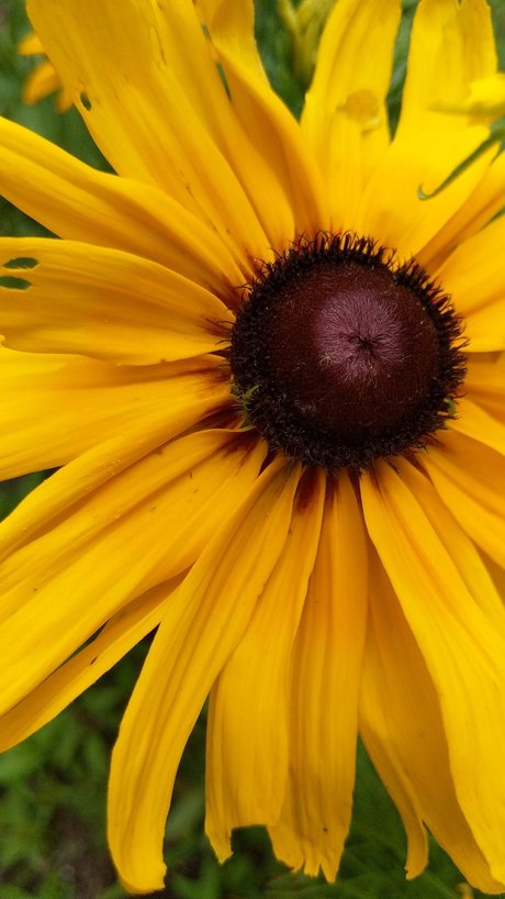 T free_ xxx actress image