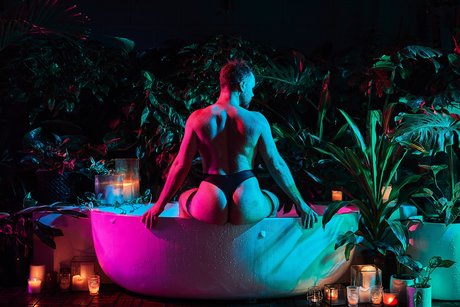 perthbearCUB model hot gallery