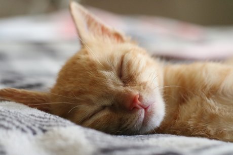 gym influencer onlyfans hot xxx pictures