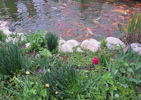 missionary onlyfans adult gallery