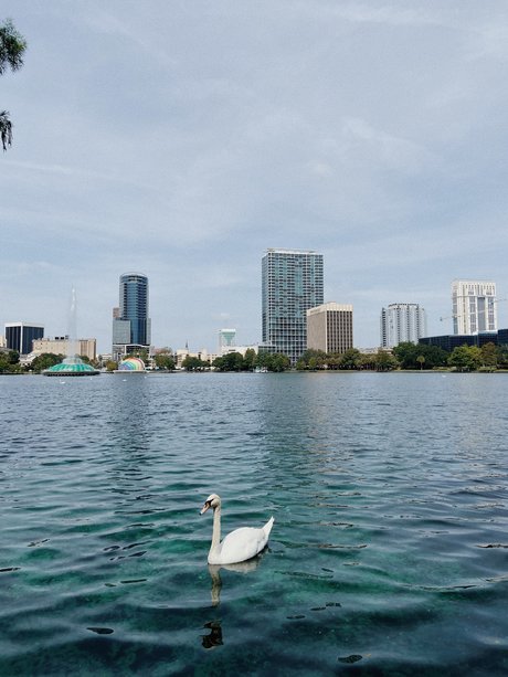 Spritzdad star beautiful img