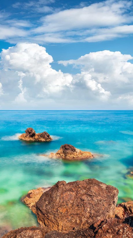 TotoBear pornstar perfect img