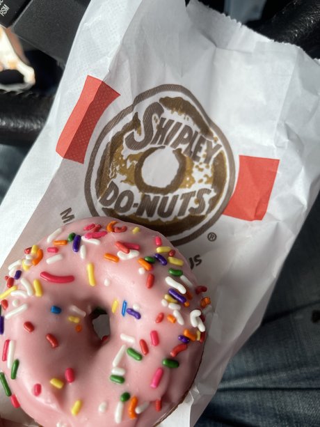 Bob Terwillicker nice pornstar archive