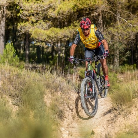 Gori model exclusive img