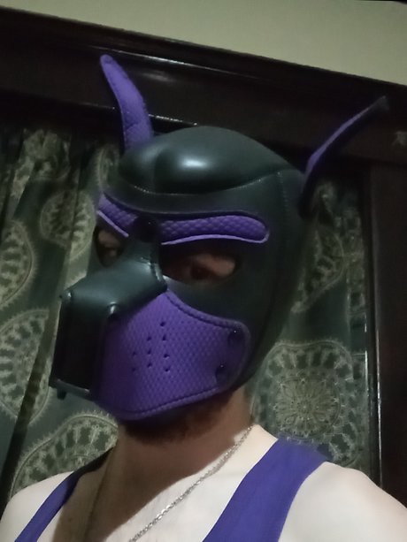 PupDax star image
